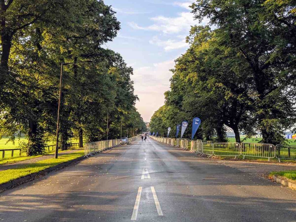 York 10km near York Racecourse - Running in the Summer on tree-lined road