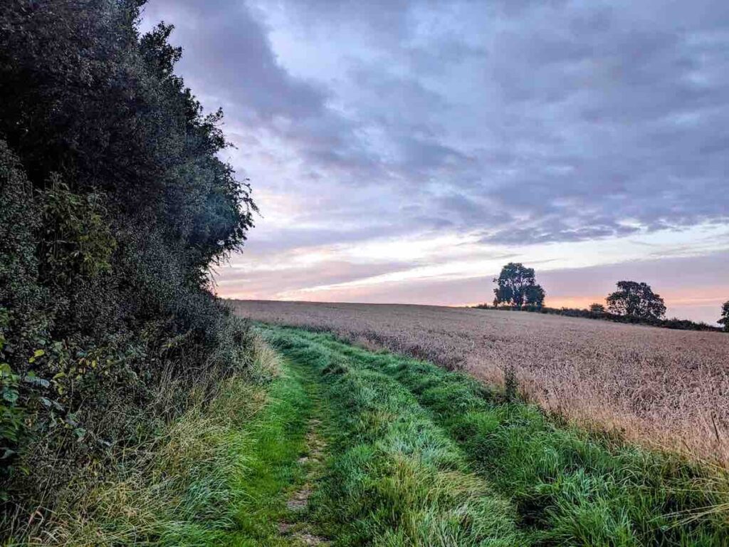 Kirkham Priory trek against a beautiful sunrise - follow the path alongside the woods and field towards the farm